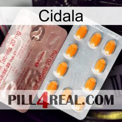 Cidala new13